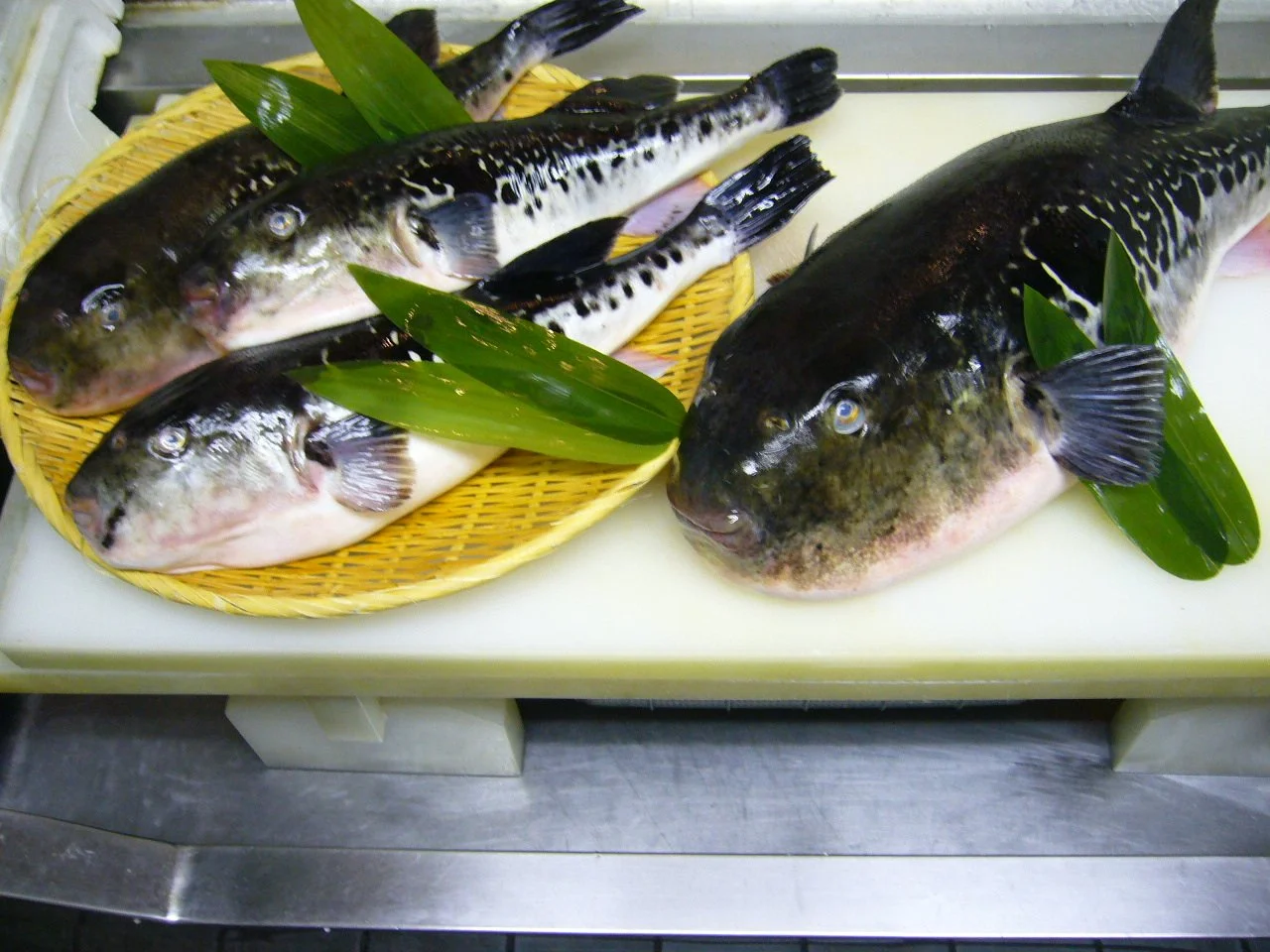 大皿に薄く盛り付けた天然とらふぐのてっさと薬味